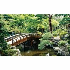 Biggies Bonsai View - Weather Proof Scene for Window Wells or Wall Mural - 120 in. x 60 in