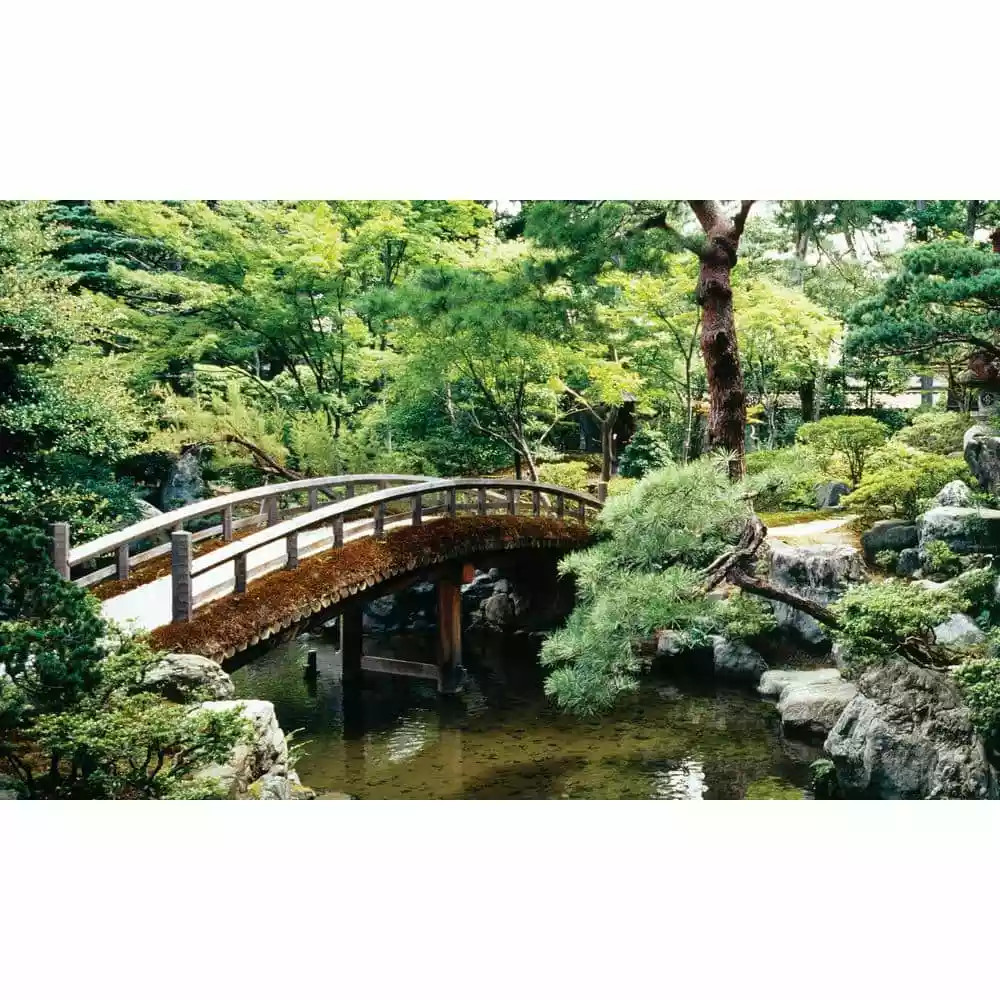 Biggies Bonsai View - Weather Proof Scene for Window Wells or Wall Mural - 120 in. x 60 in