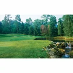 Biggies Fairway View - Weather Proof Scene for Window Wells or Wall Mural - 120 in. x 60 in