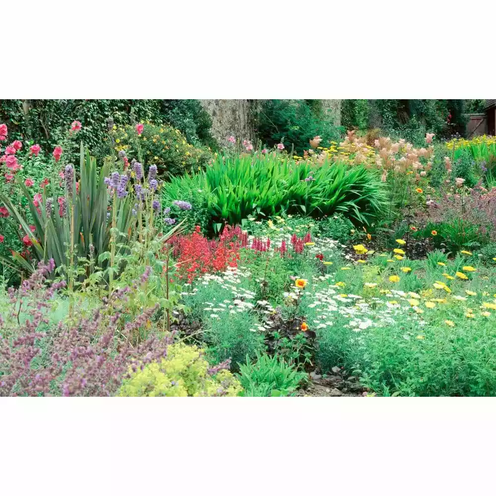 Biggies Flower View - Weather Proof Scene for Window Wells or Wall Mural - 120 in. x 60 in