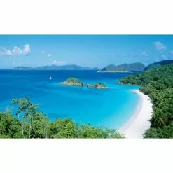 Biggies Island Cove View - Weather Proof Scene for Window Wells or Wall Mural - 100 in. x 60 in.