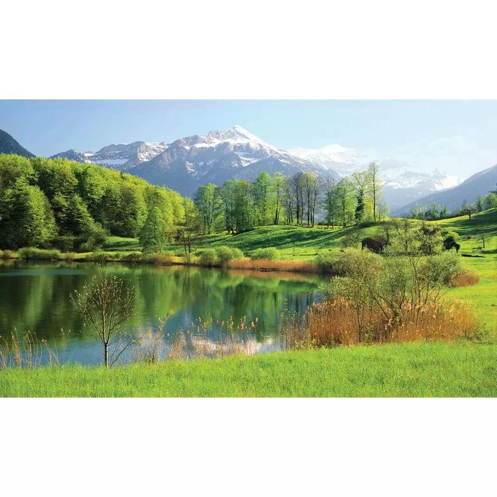 Biggies Lake View - Weather Proof Scene for Window Wells or Wall Mural - 120 in. x 60 in