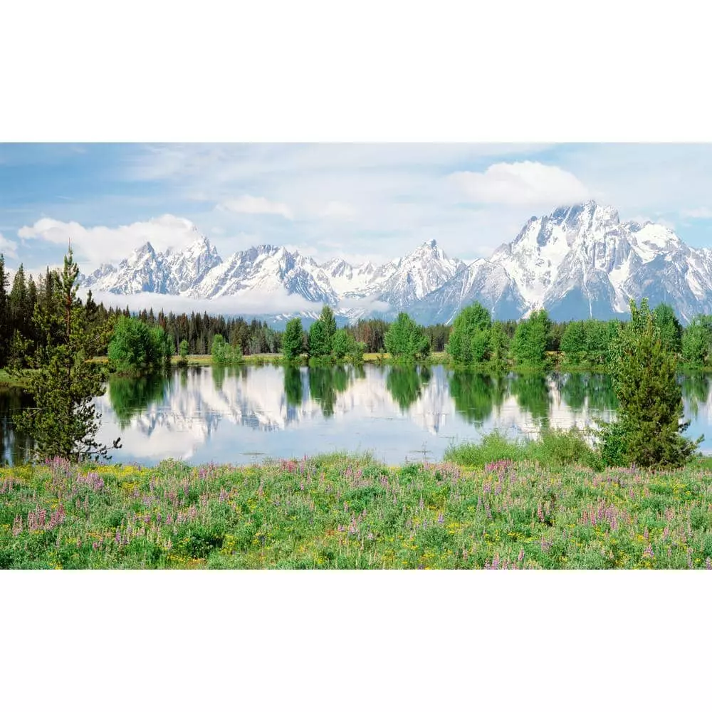 Biggies Mountain Flowers View - Weather Proof Scene for Window Wells or Wall Mural - 80 in. x 40 in.