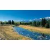Biggies River View - Weather Proof Scene for Window Wells or Wall Mural - 100 in. x 60 in.