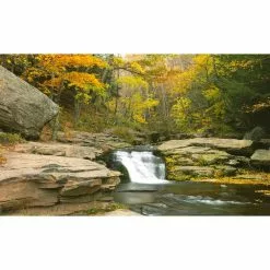 Biggies Stream View - Weather Proof Scene for Window Wells or Wall Mural - 120 in. x 60 in