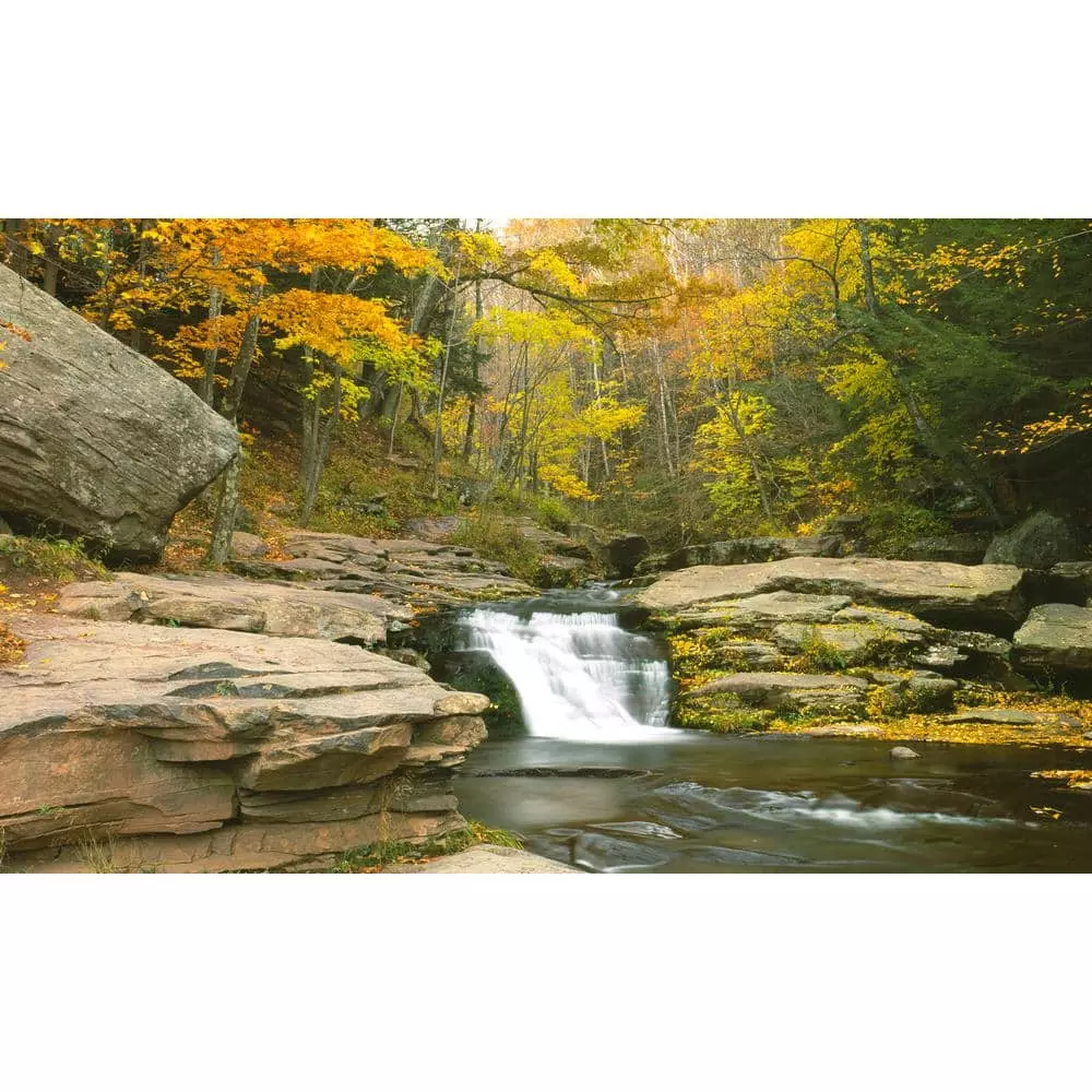 Biggies Stream View - Weather Proof Scene for Window Wells or Wall Mural - 80 in. x 40 in.