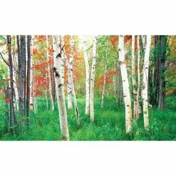 Biggies Woods View - Weather Proof Scene for Window Wells or Wall Mural - 100 in. x 60 in.
