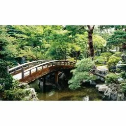 Biggies Bonsai View - Weather Proof Scene for Window Wells or Wall Mural - 100 in. x 60 in.