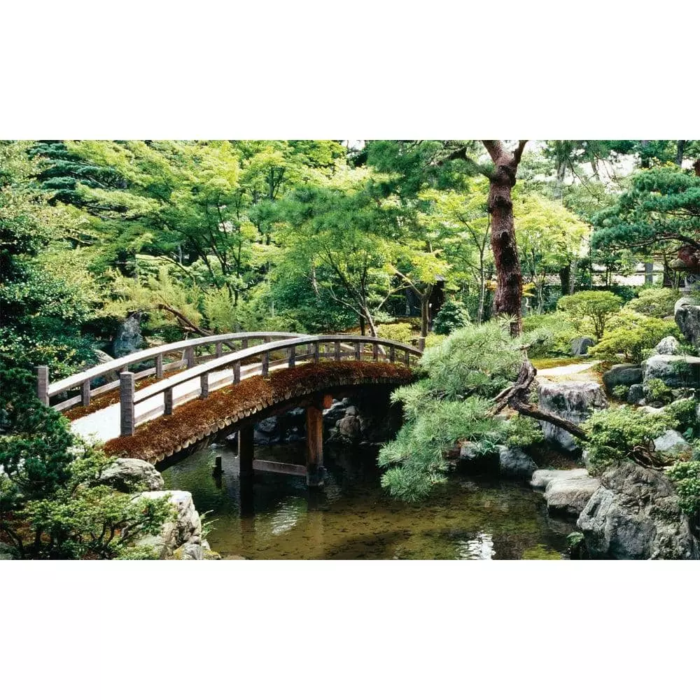 Biggies Bonsai View - Weather Proof Scene for Window Wells or Wall Mural - 100 in. x 60 in.