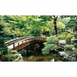 Biggies Bonsai View - Weather Proof Scene for Window Wells or Wall Mural - 120 in. x 60 in.