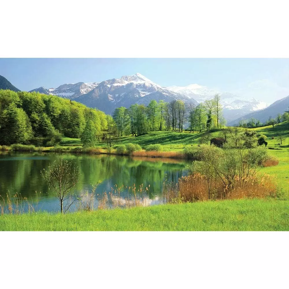 Biggies Lake View - Weather Proof Scene for Window Wells or Wall Mural - 120 in. x 60 in.
