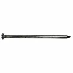 PRO-FIT 8 in. 50 lbs. Hot Dipped Galvanized Common Spike Nail (200-Count)