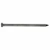 PRO-FIT 12 in. Hot Dipped Galvanized Common Spike Nail 50 lbs. (150-Count)
