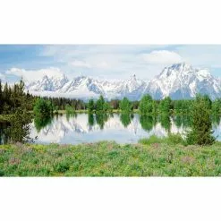 Biggies Mountain Flower View - Weather Proof Scene for Window Wells or Wall Mural - 120 in. x 60 in.