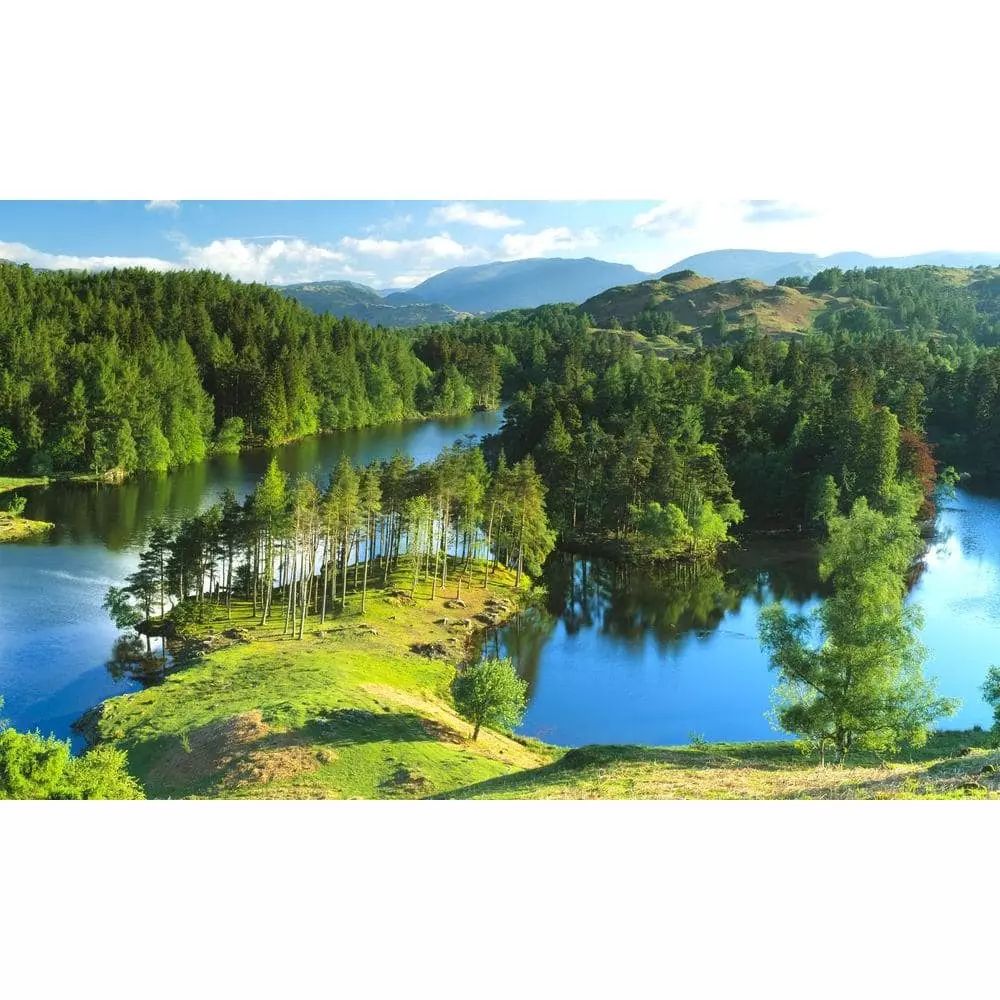 Biggies Peninsula View - Weather Proof Scene for Window Wells or Wall Mural - 120 in. x 60 in.