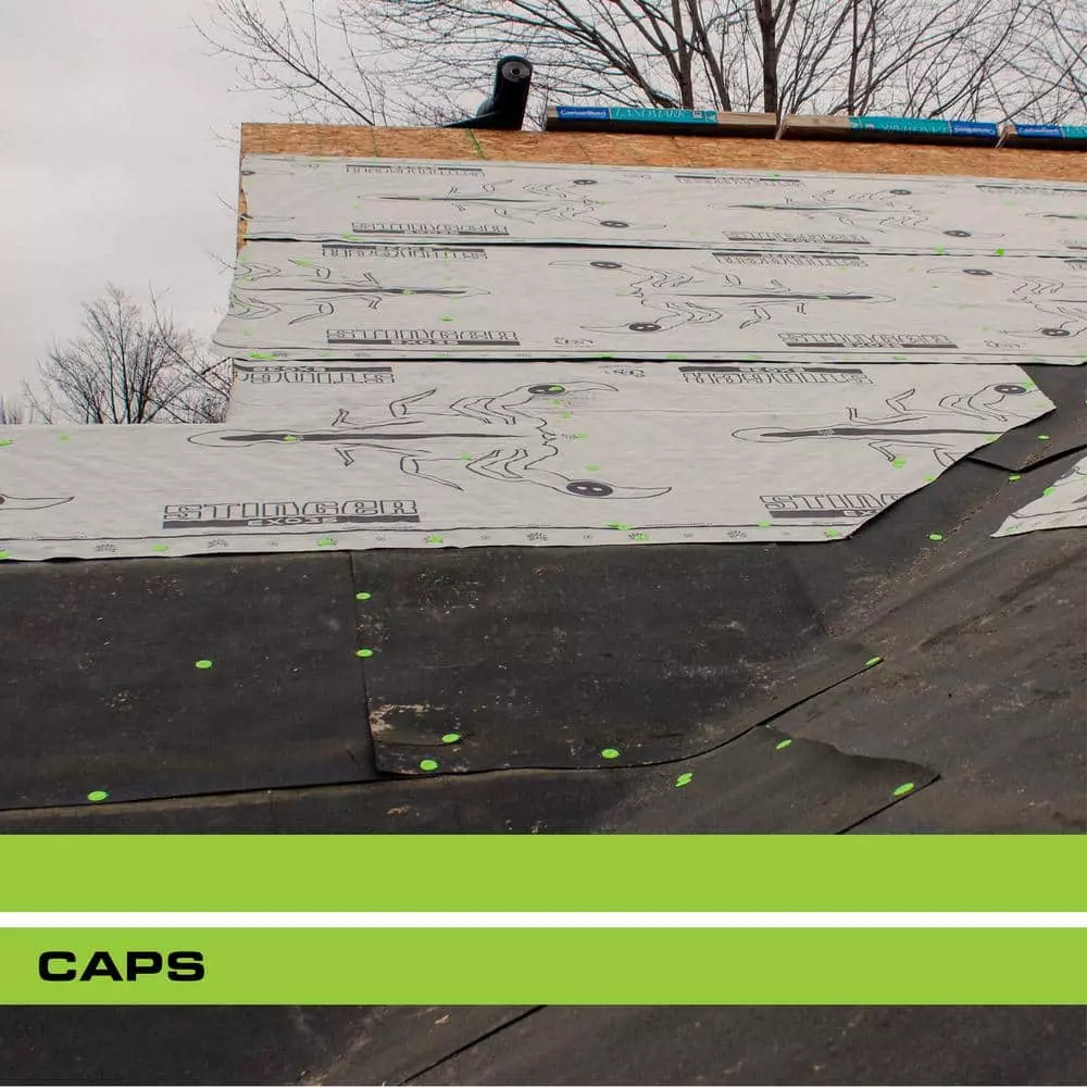 PRO-FIT 1 in. Electro Galvanized Ring Shank Nail with Plastic Cap (250-Count) - Image 6