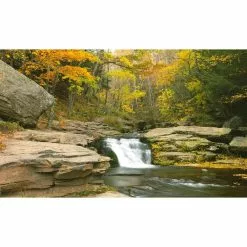 Biggies Stream View - Weather Proof Scene for Window Wells or Wall Mural - 100 in. x 60 in.