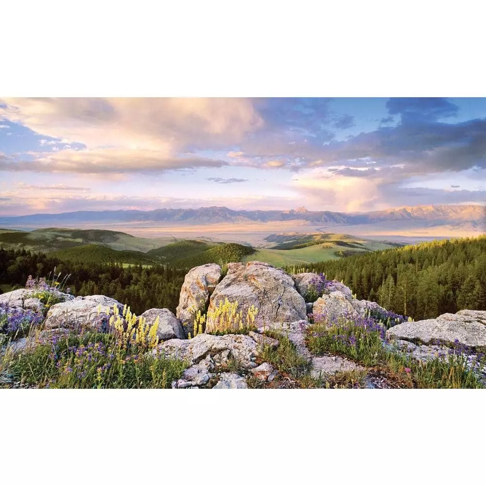 Biggies Sunrise View - Weather Proof Scene for Window Wells or Wall Mural - 120 in. x 60 in.